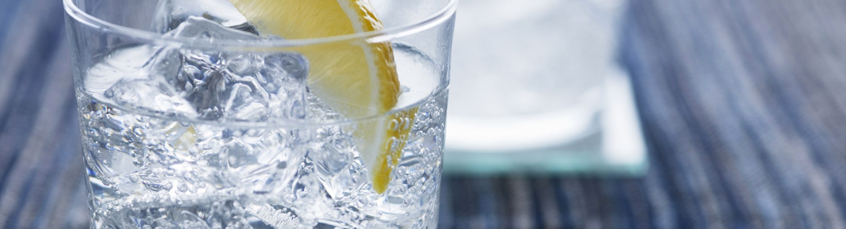 THE 12 BEST GIN IN THE PHILIPPINES